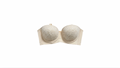 Colombian Cup bra everyday support bra